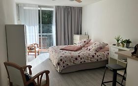 Superbe Studio Au Calme Quartier Cap Brun